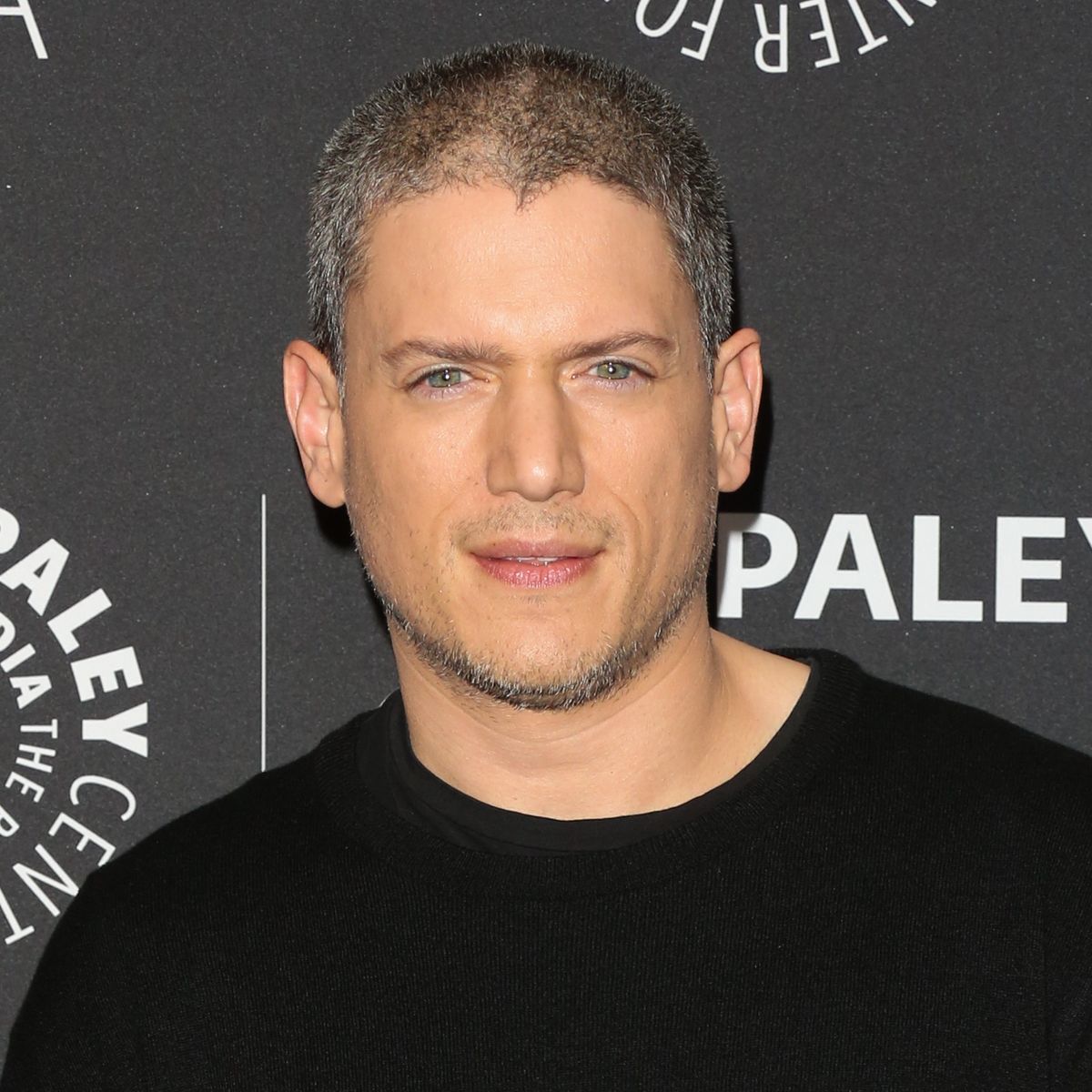 Wentworth Miller Net Worth 2021 The Event Chronicle.