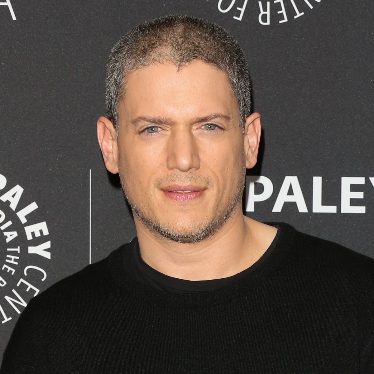 Wentworth Miller 