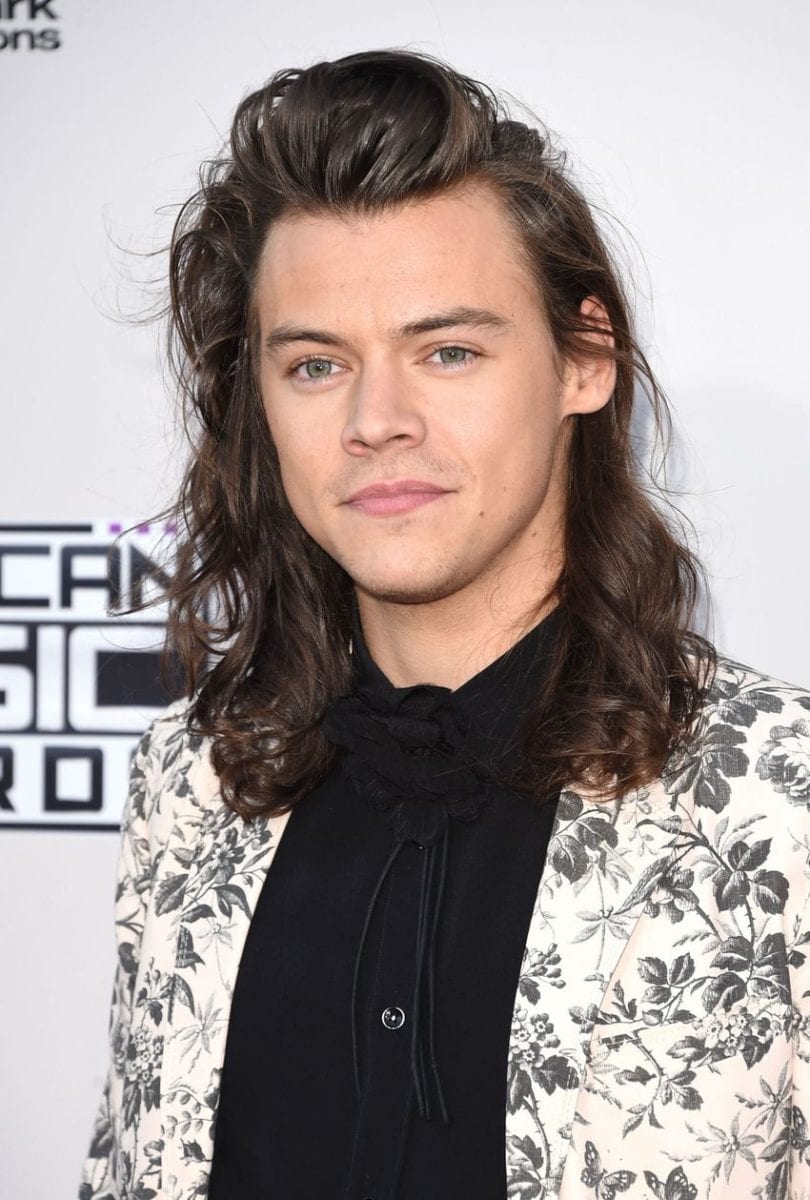 How Much is Harry Styles Worth in 2023 Biography Career Age Girl