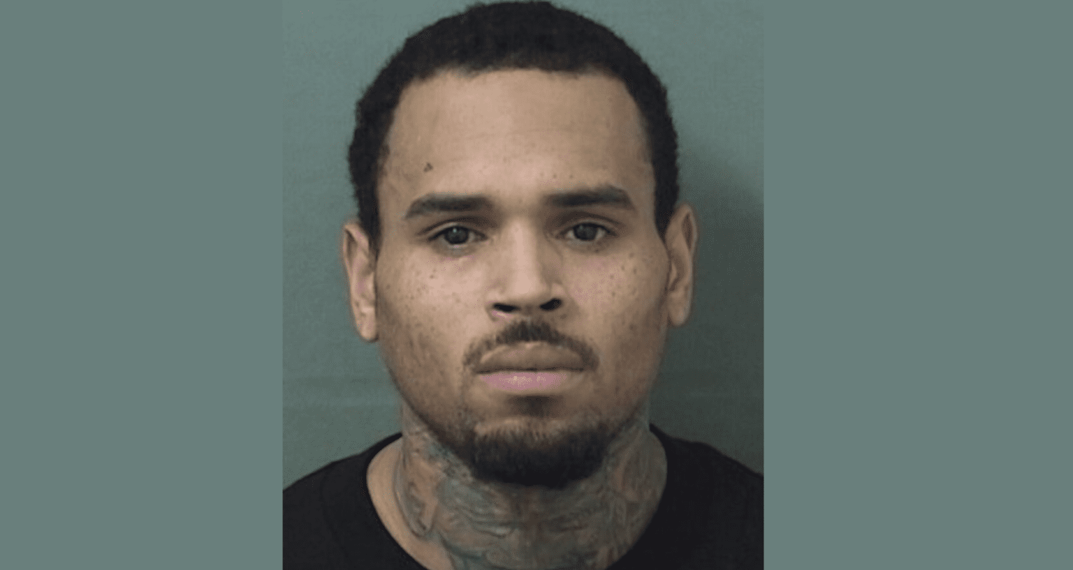 Chris Brown Net Worth 2024 The Event Chronicle