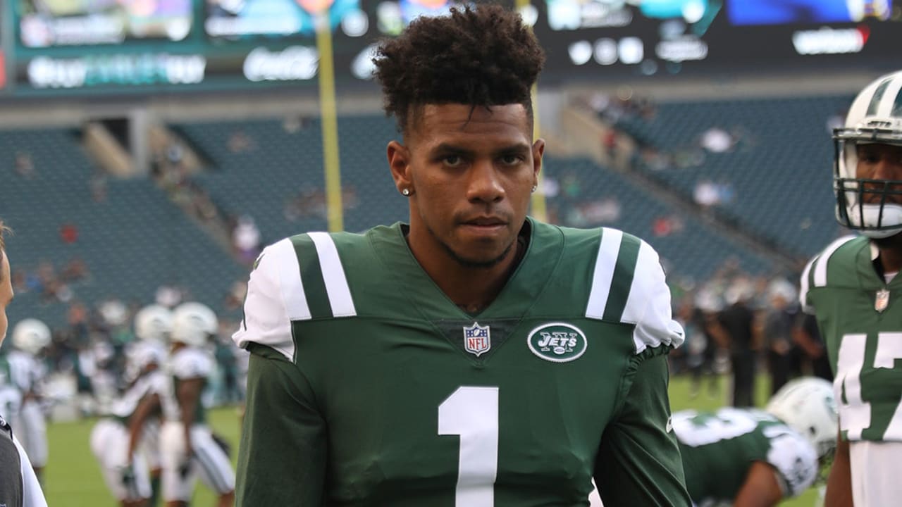 Terrelle Pryor - Net Worth 2024 - The Event Chronicle