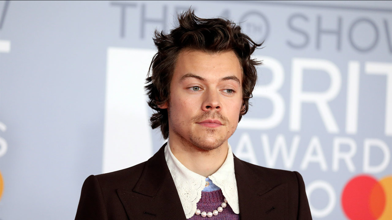 How Much is Harry Styles Worth in 2023 Biography Career Age Girl