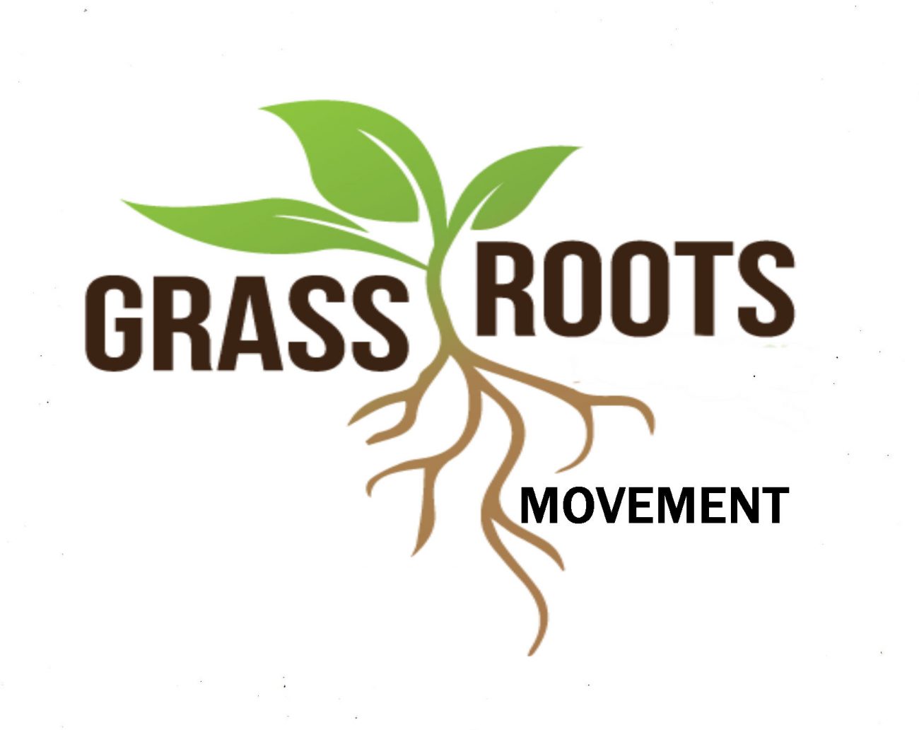 What is a Grassroots Movement? The Event Chronicle