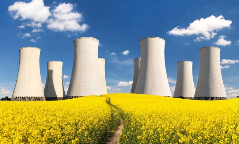 Photo of Nuclear Energy – Friend or Foe? 