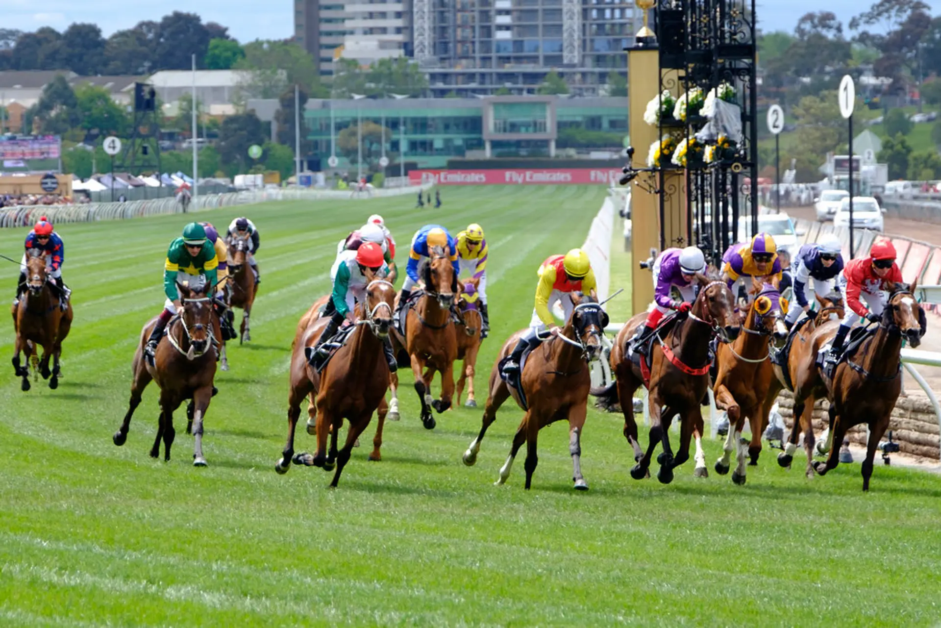 Velocidad de un caballo de carrera