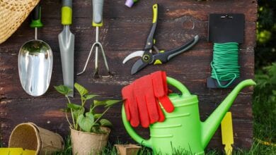 Photo of 7 Lawn & Garden Equipment Every Household Needs To Have in 2020