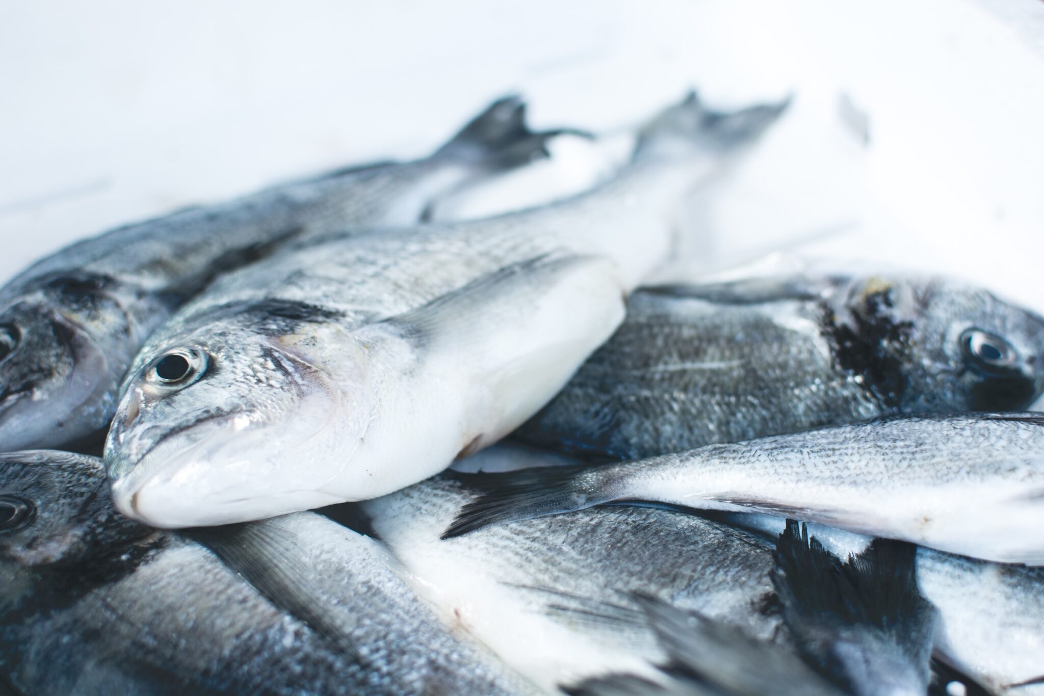 3 Top Reasons Why You Should Start Ordering Seafoods Online The Event