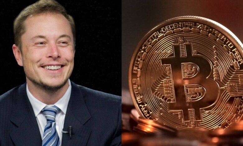 elon musk cryptocurrency bitcoin