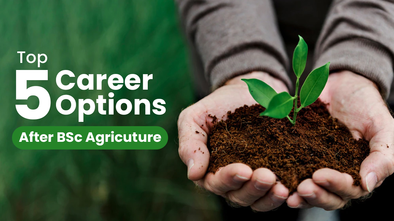 Top 5 Career Options After B.Sc Agriculture - The Event Chronicle