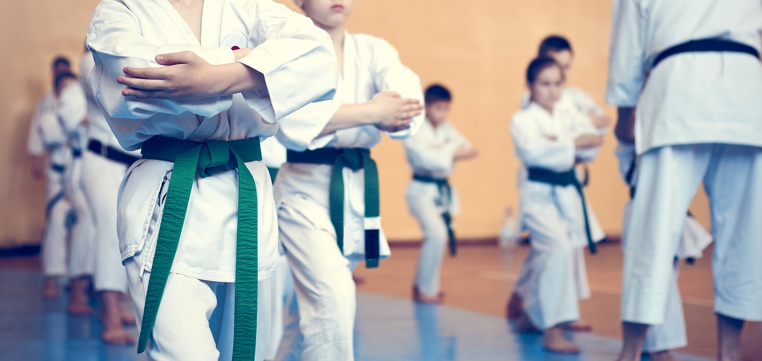 Understanding Impact of Karate on Kids Mental Health