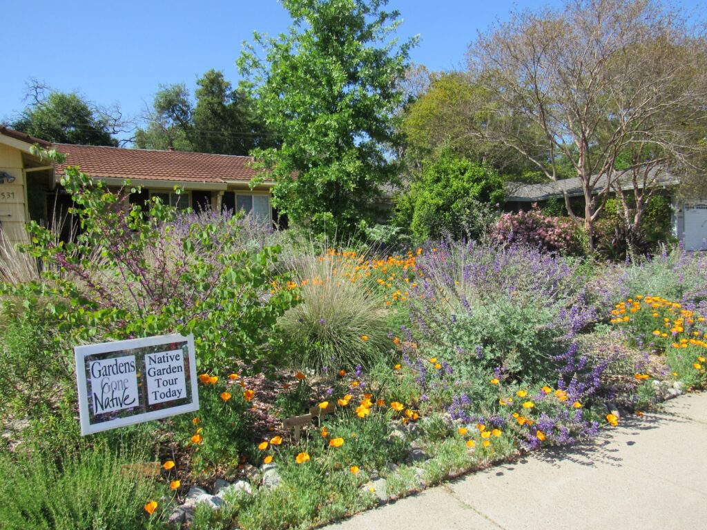 The Benefits of Native Plant Gardens