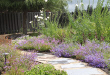 Why Your Garden Needs More Native Plants