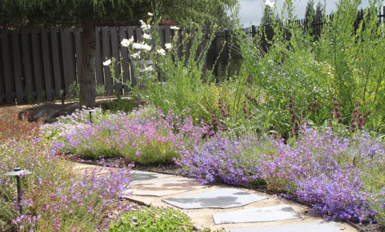 Why Your Garden Needs More Native Plants