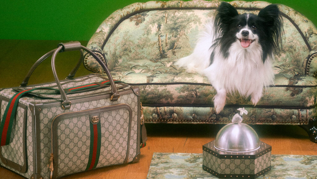 Gucci Items for Pets